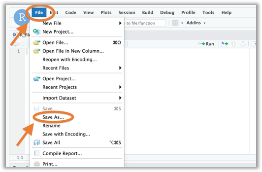 A screenshot of the File menu