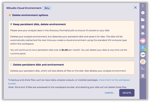 A screenshot showing the RStudio Cloud Environment delete environment options