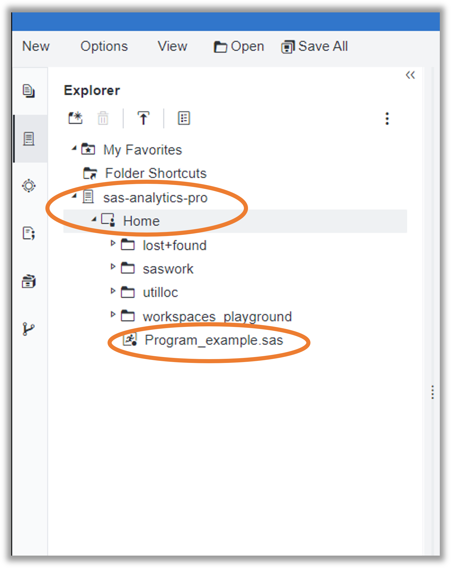 How to run SAS in the Researcher Workbench – User Support