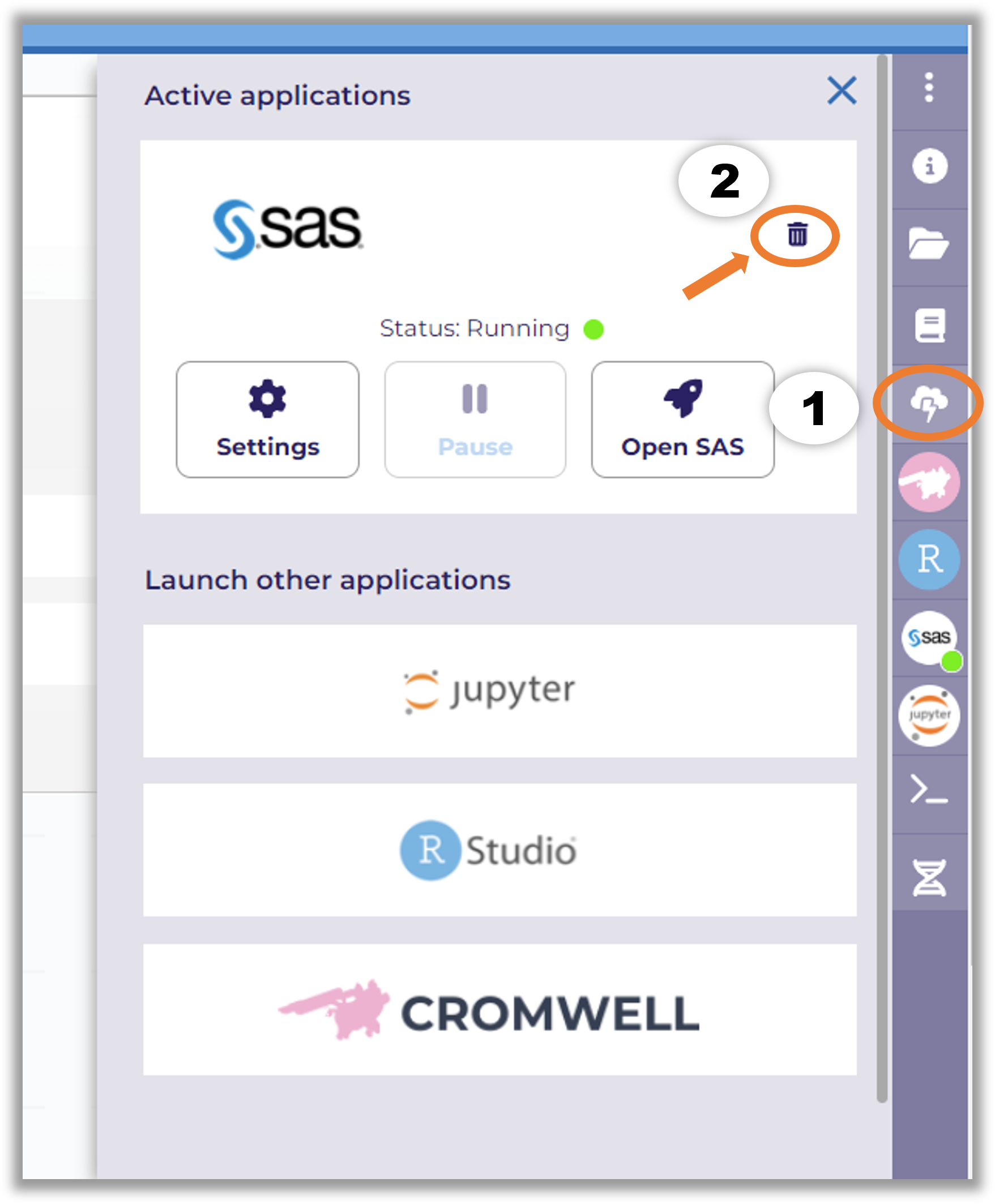 How to run SAS in the Researcher Workbench – User Support