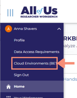 Cloud Environments is located third in the list after your name. After you click Cloud Environments, the page with all your active cloud environments appears on the screen. This page includes information about your cloud environments and your persistent disks.