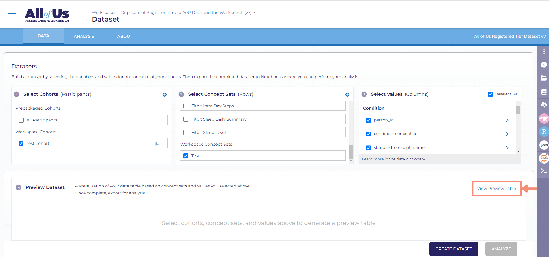 The View preview table link is in the top right of the Preview Dataset card at the bottom of the Dataset Builder screen.