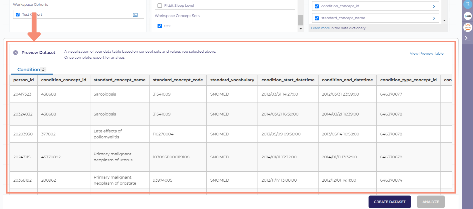 After clicking the View Preview Table link, a table will appear as a preview of the dataset you just created. You can scroll through the table to ensure all the fields that you want in your dataset are present. In the bottom right of the screen, there are two buttons: Create dataset and Analyze. Create dataset is blue and Analyze is grayed out.